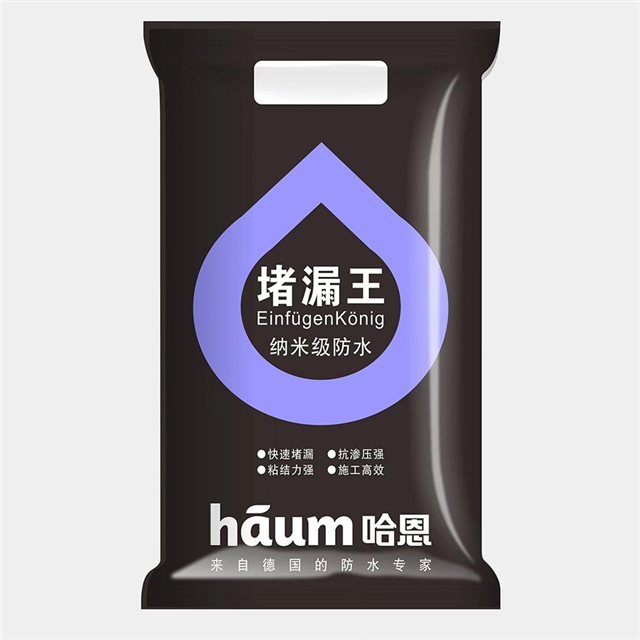 堵漏王